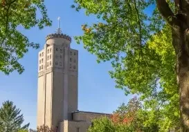 A building framed by trees - Test